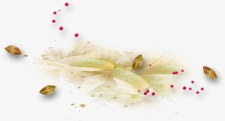 花 绿叶免扣png素材免抠