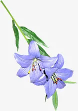 春天紫色鲜花装饰免抠