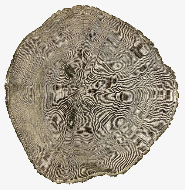 树的年轮图形免抠