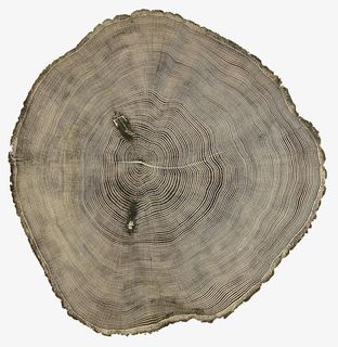 树的年轮图形免抠