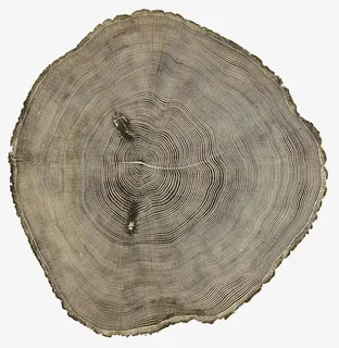 树的年轮图形免抠