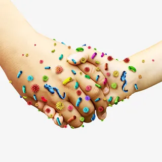 握手与细菌感染免抠