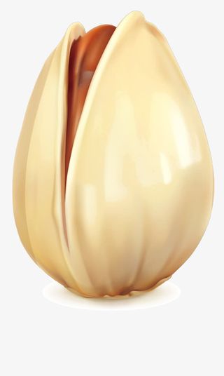 开心果精致矢量免抠