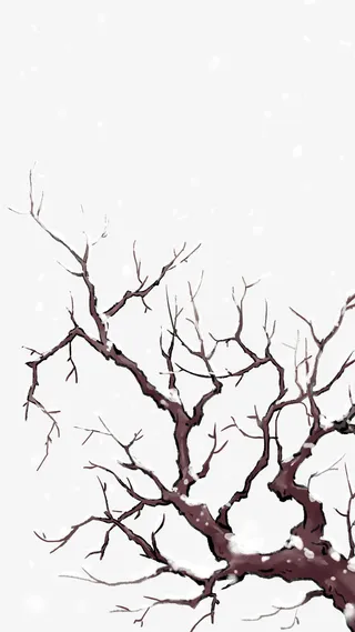 雪天的树枝手绘免抠