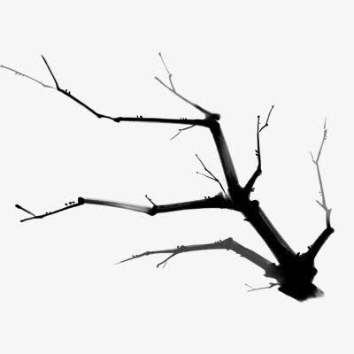 树枝免抠