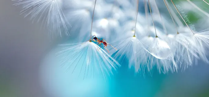 自然背景图高清