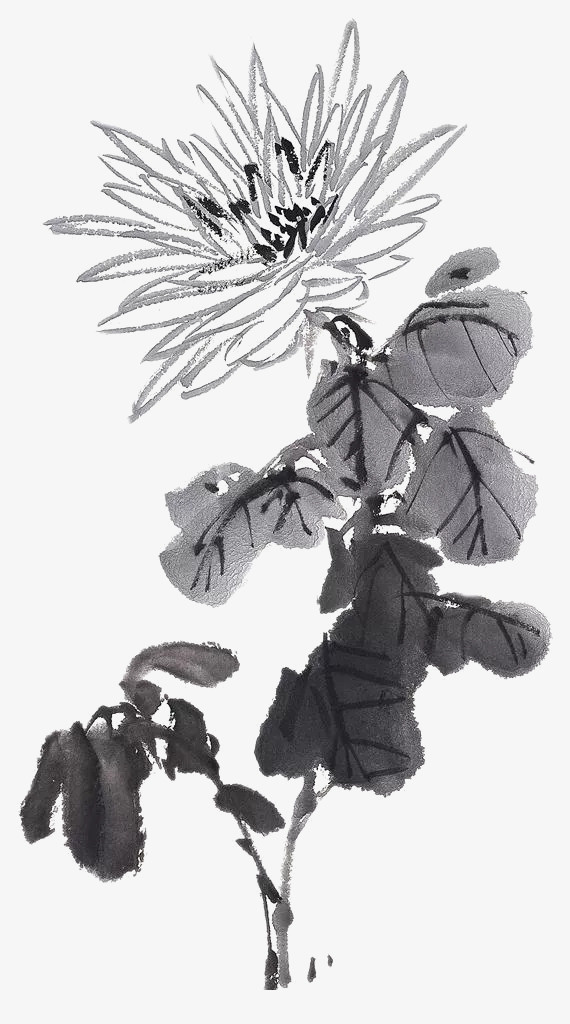 水墨黑白菊花免抠