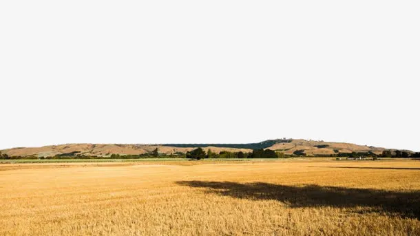 西北大农场免抠