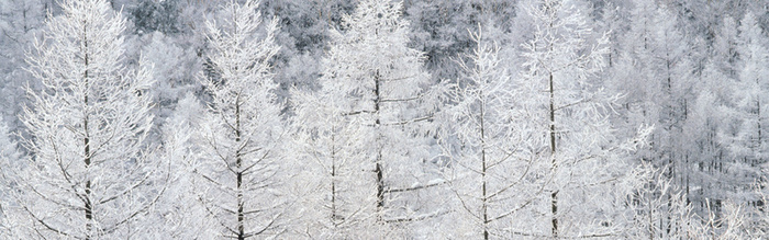 雪景背景图高清