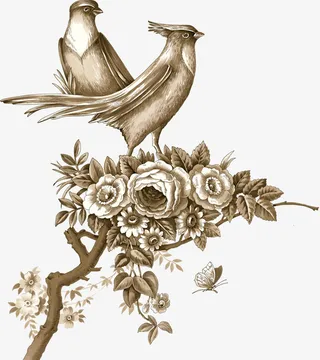手绘树枝鸟免抠