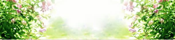 欧美奢华简约大气背景