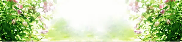 欧美奢华简约大气背景