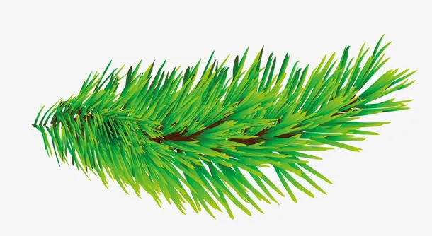 绿色装饰树叶免抠