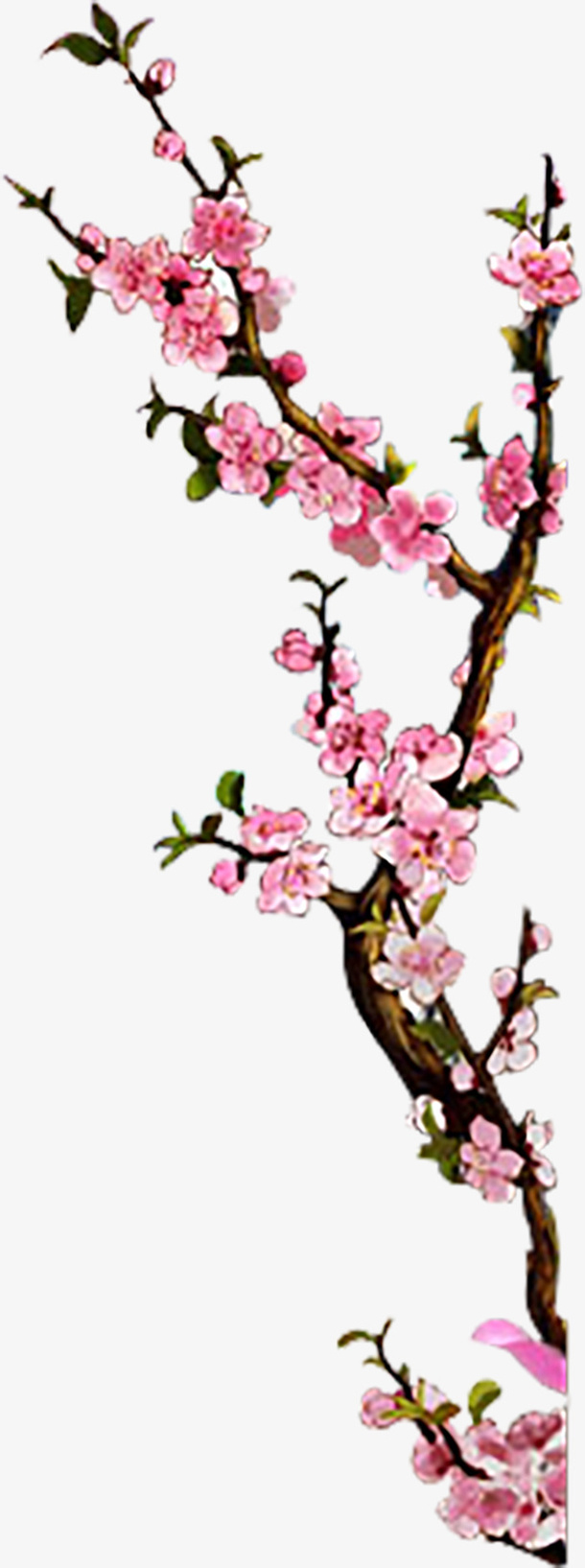 光点素材1，漂浮素材，png，元素9免抠