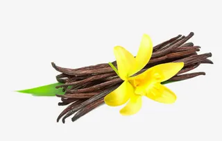 SPA理疗材料免抠