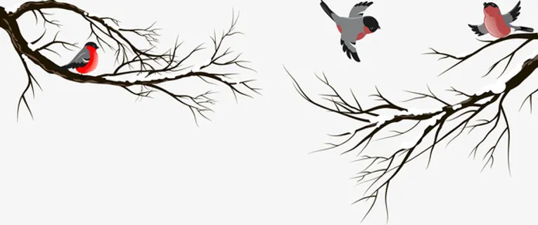 手绘冬至树枝小鸟免抠