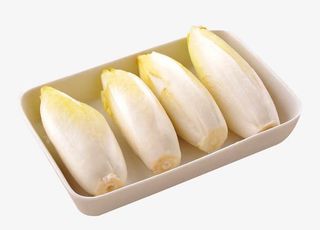 菊苣素材图免抠