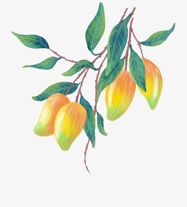 卡通手绘多彩芒果免抠