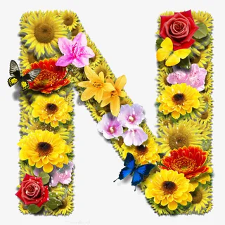 鲜花字母N免抠