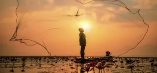 风景夕阳鱼网背景高清