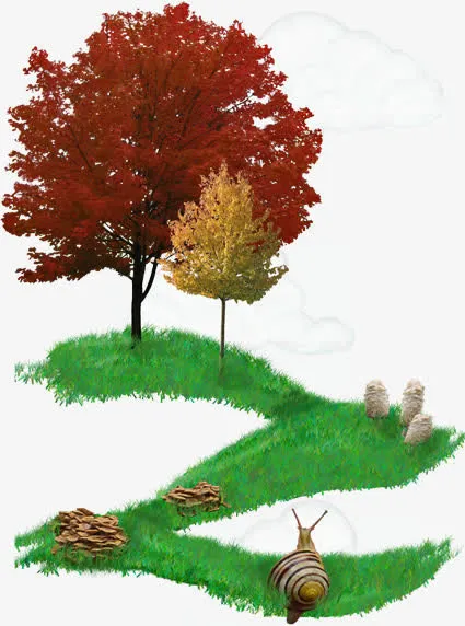 秋天枫叶免抠