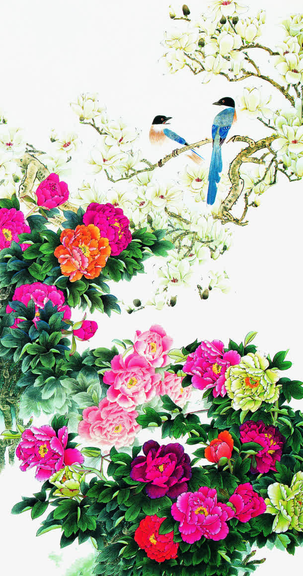 设计花鸟图免抠