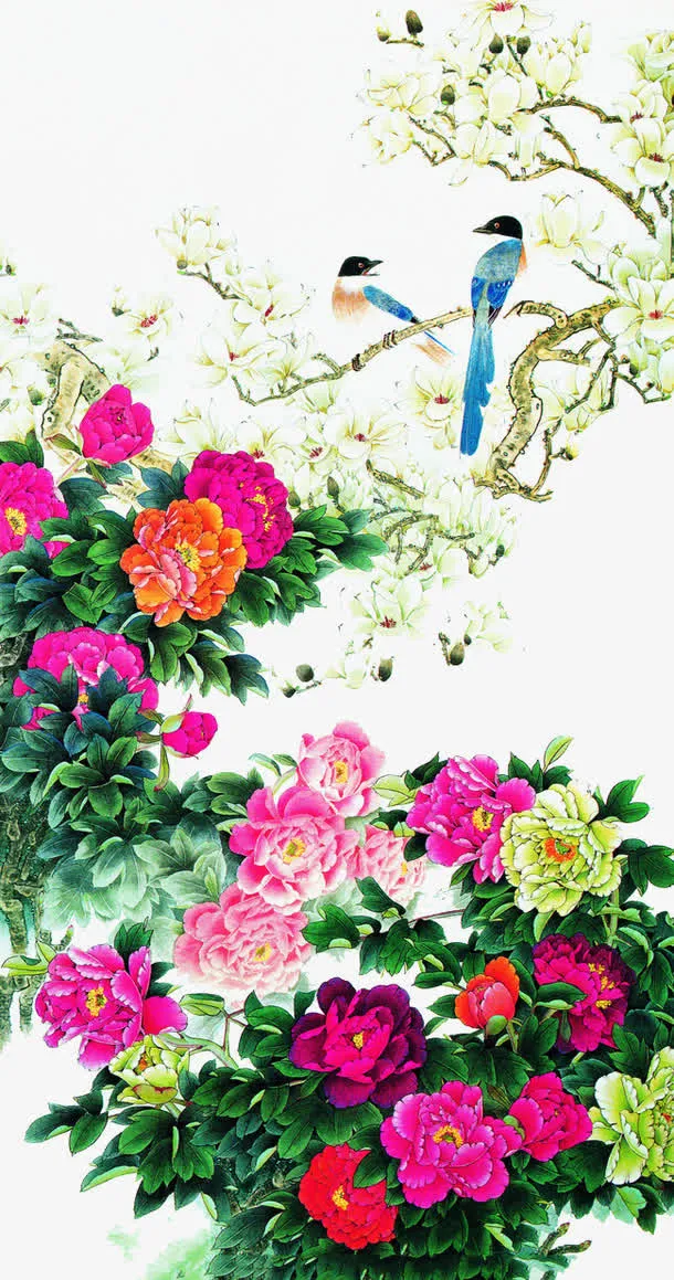 设计花鸟图免抠