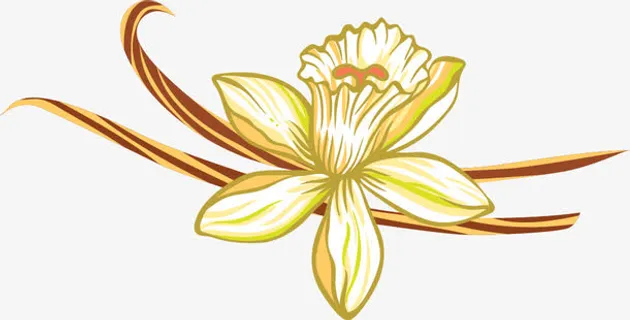 手绘花朵装饰图案免抠