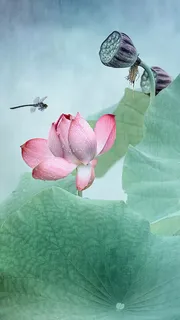 绿色水彩荷花手机端H5背景高清