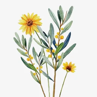 一束黄色的花有叶子免抠