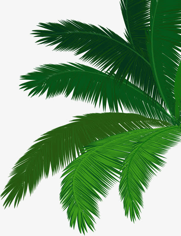 卡通绿色夏日植物棕树免抠