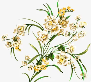 黄色花朵创意设计鲜花免抠