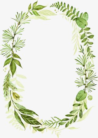 椭圆形的美丽植物边框免抠
