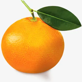 水果橙子图片免抠