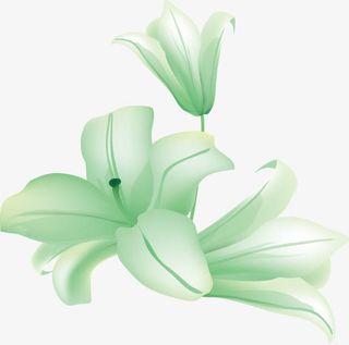 春暖花开免抠
