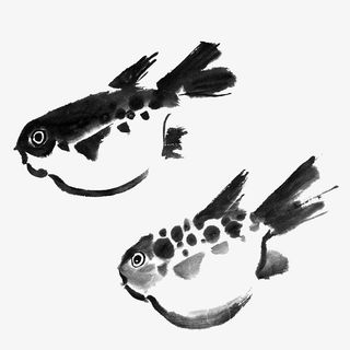 手绘黑色小河豚免抠