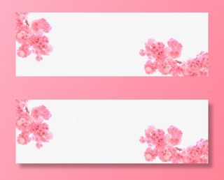 春天樱花树枝装饰元素免抠手绘/卡通手绘元素