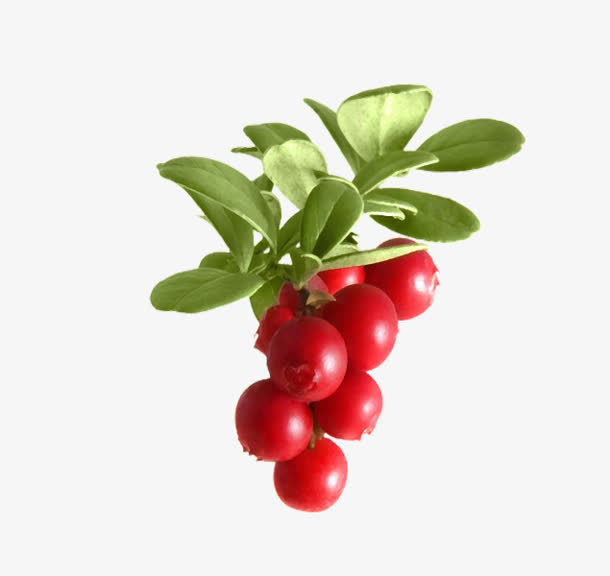 石榴果 png素材免抠