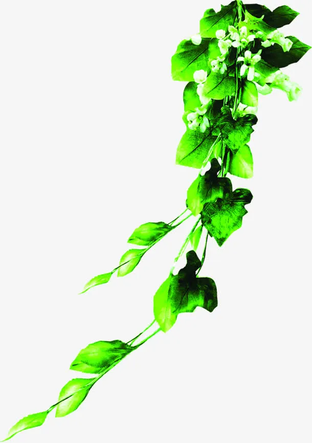 绿色春天植物靓丽绿色免抠