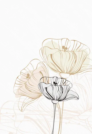 线描花朵画册封面高清