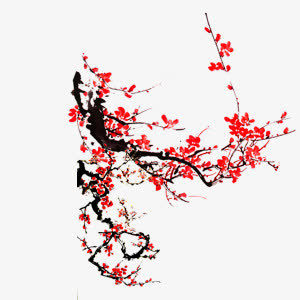 寒梅独自开·免抠