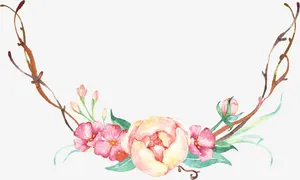 小清新花png素材免抠