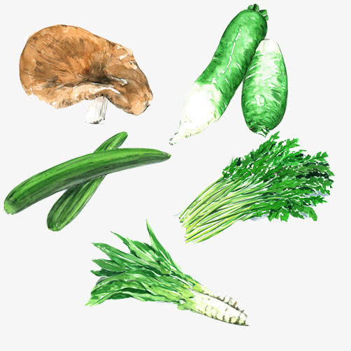 蔬菜各种种类合集手绘图片免抠