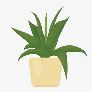 卡通绿色花盆花卉植物免抠