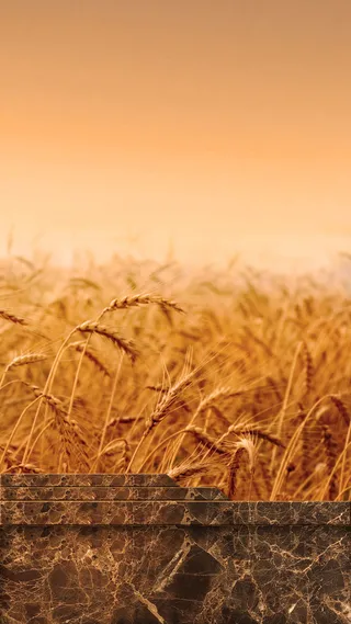 秋季丰收H5背景高清