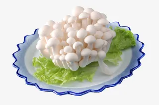 白玉菇拼盘摄影图免抠