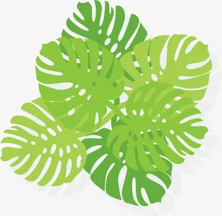 绿色扁平春季树叶免抠