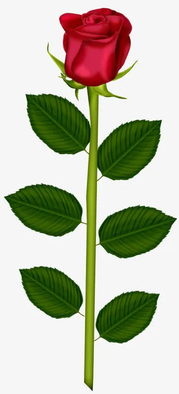 一朵红玫瑰免抠