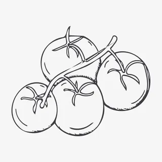 素描西红柿免抠