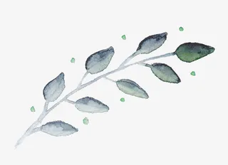 手绘水墨树枝免抠